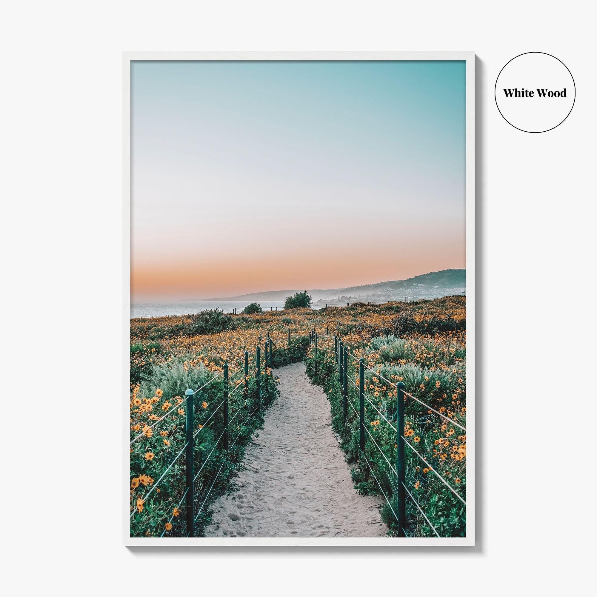 Dana Point Fine Art Photo Print, California Headlands, Orange County Poster