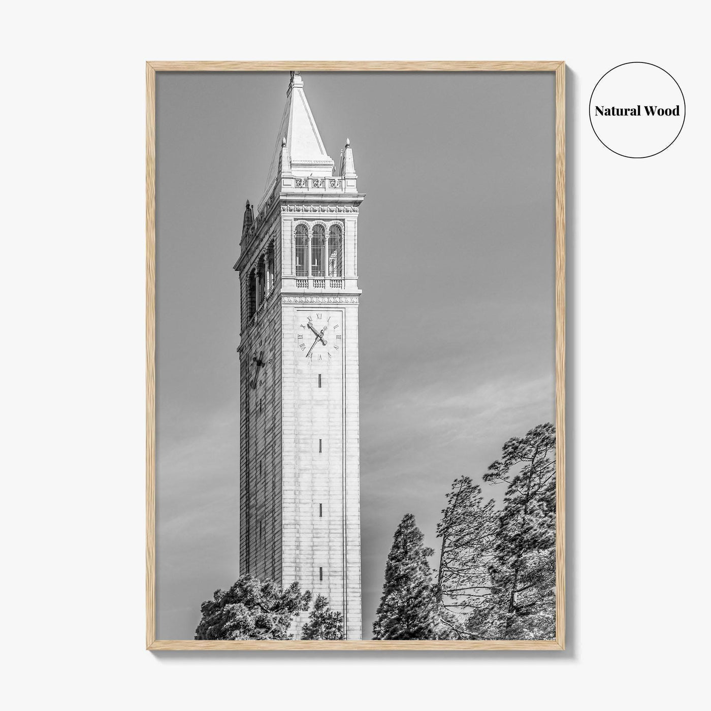 Berkeley Black and White Fine Art Photo Print, Sather Tower Campanile, UC Berkeley, California