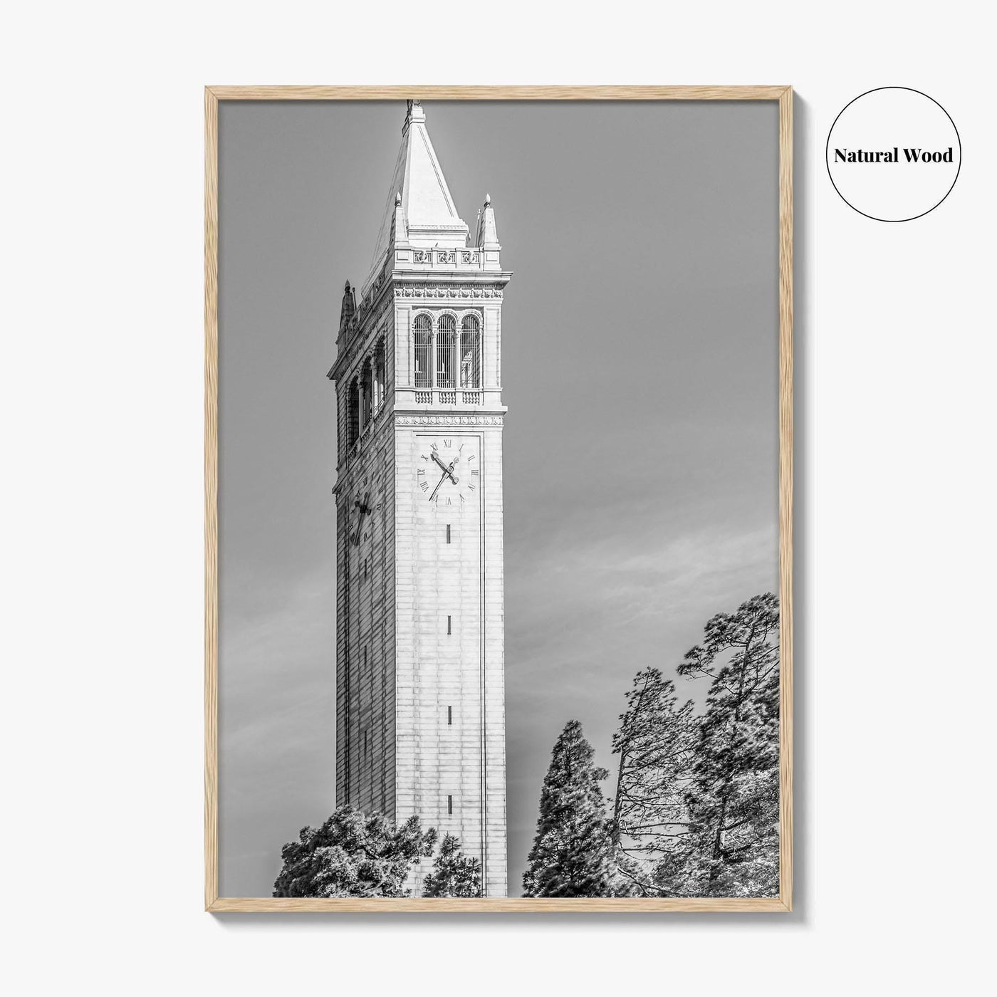Berkeley Black and White Fine Art Photo Print, Sather Tower Campanile, UC Berkeley, California