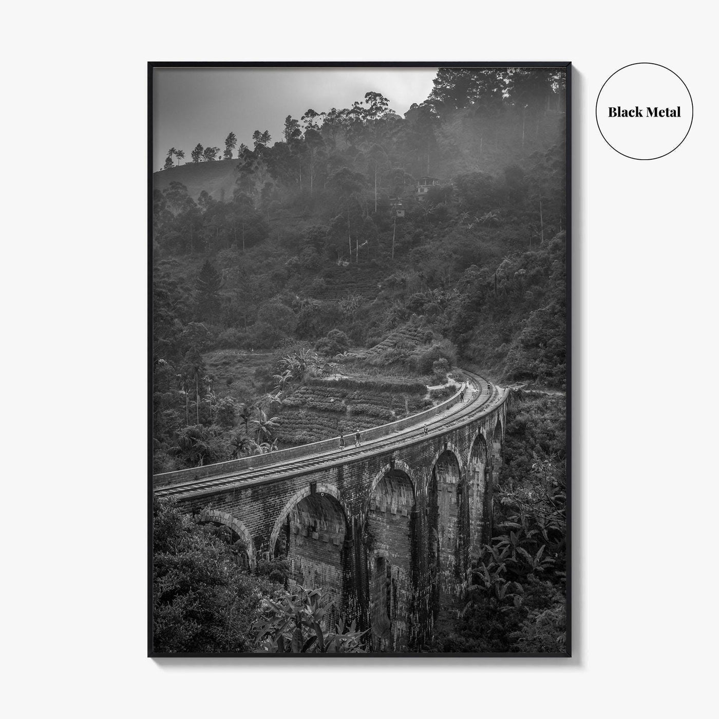 Ella Nine Black and White Fine Art Photo Print, Sri Lanka Demodara Poster