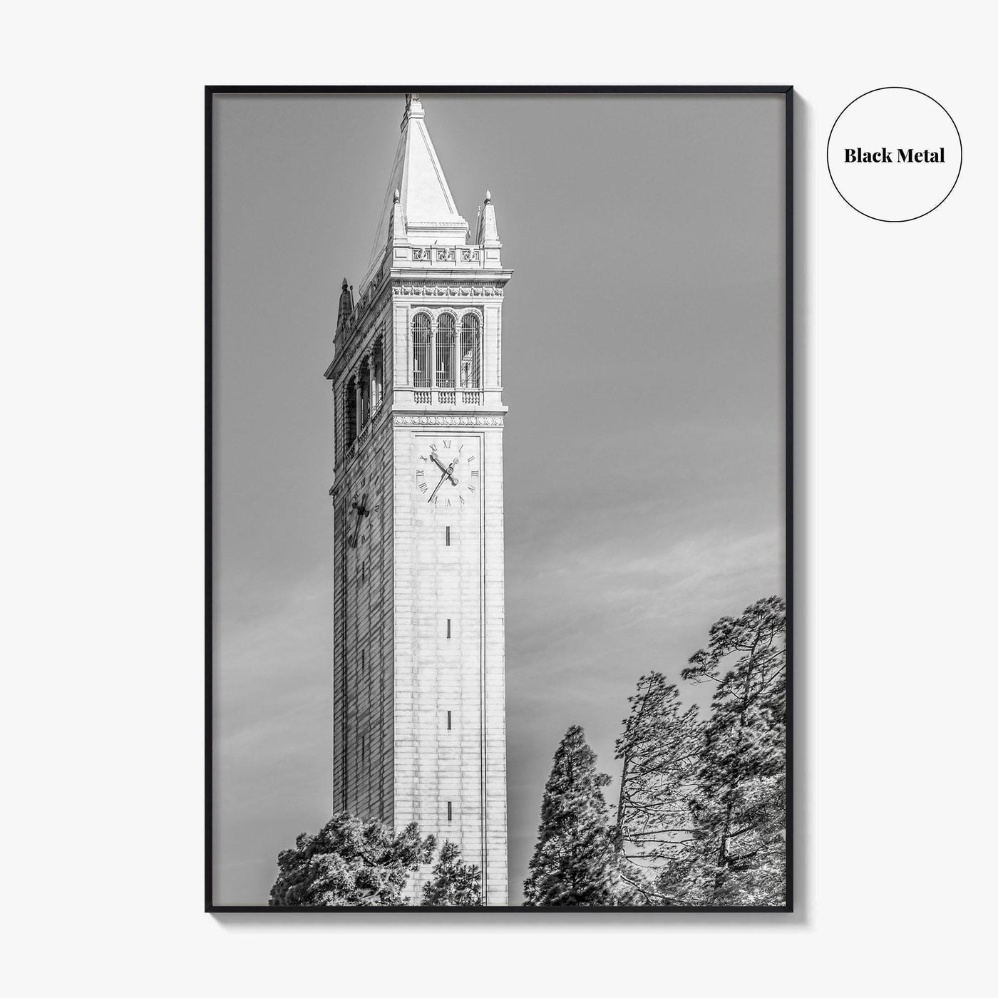 Berkeley Black and White Fine Art Photo Print, Sather Tower Campanile, UC Berkeley, California