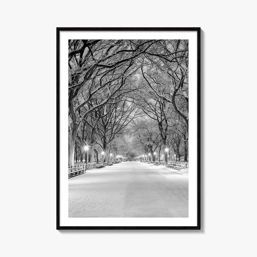 Central Park Black and White Fine Art Photo Print, New York City Poster, NYC