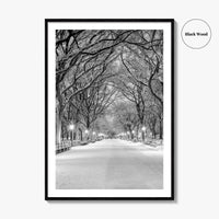 Central Park Black and White Fine Art Photo Print, New York City Poster, NYC