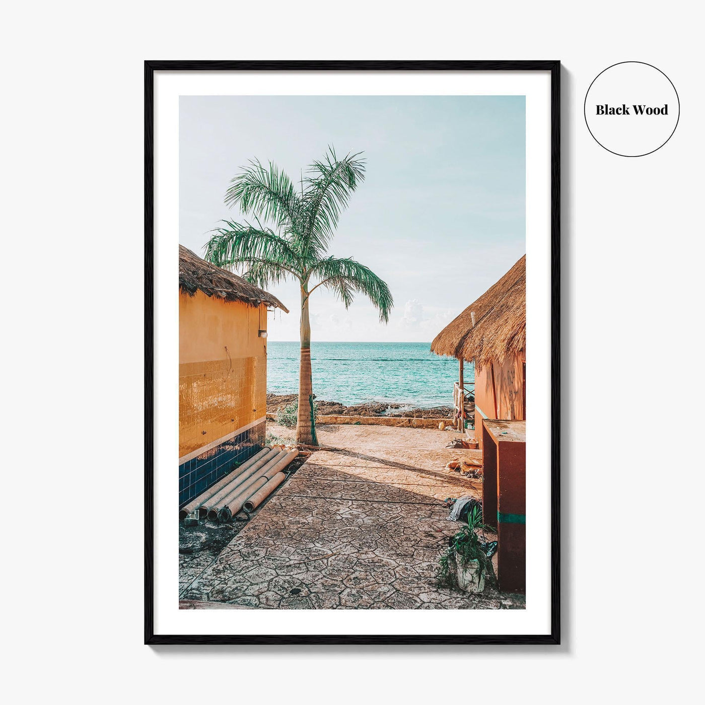 Cozumel Fine Art Photo Print, Mexico, Quintana Roo, Waterfront, Palm Trees, Wall Decor, Poster