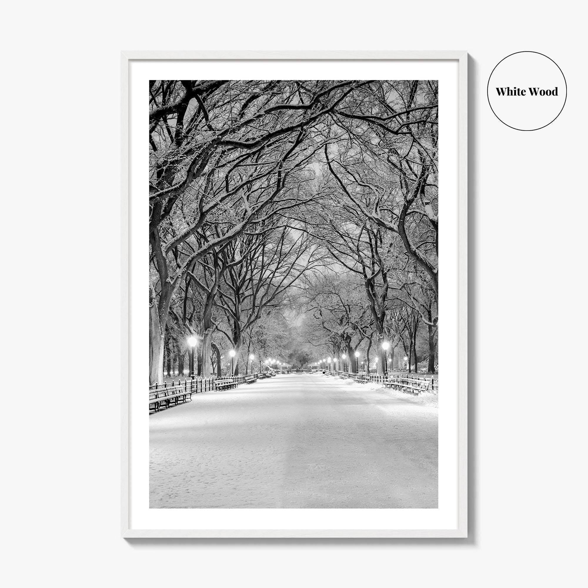 Central Park Black and White Fine Art Photo Print, New York City Poster, NYC