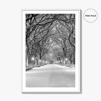 Central Park Black and White Fine Art Photo Print, New York City Poster, NYC