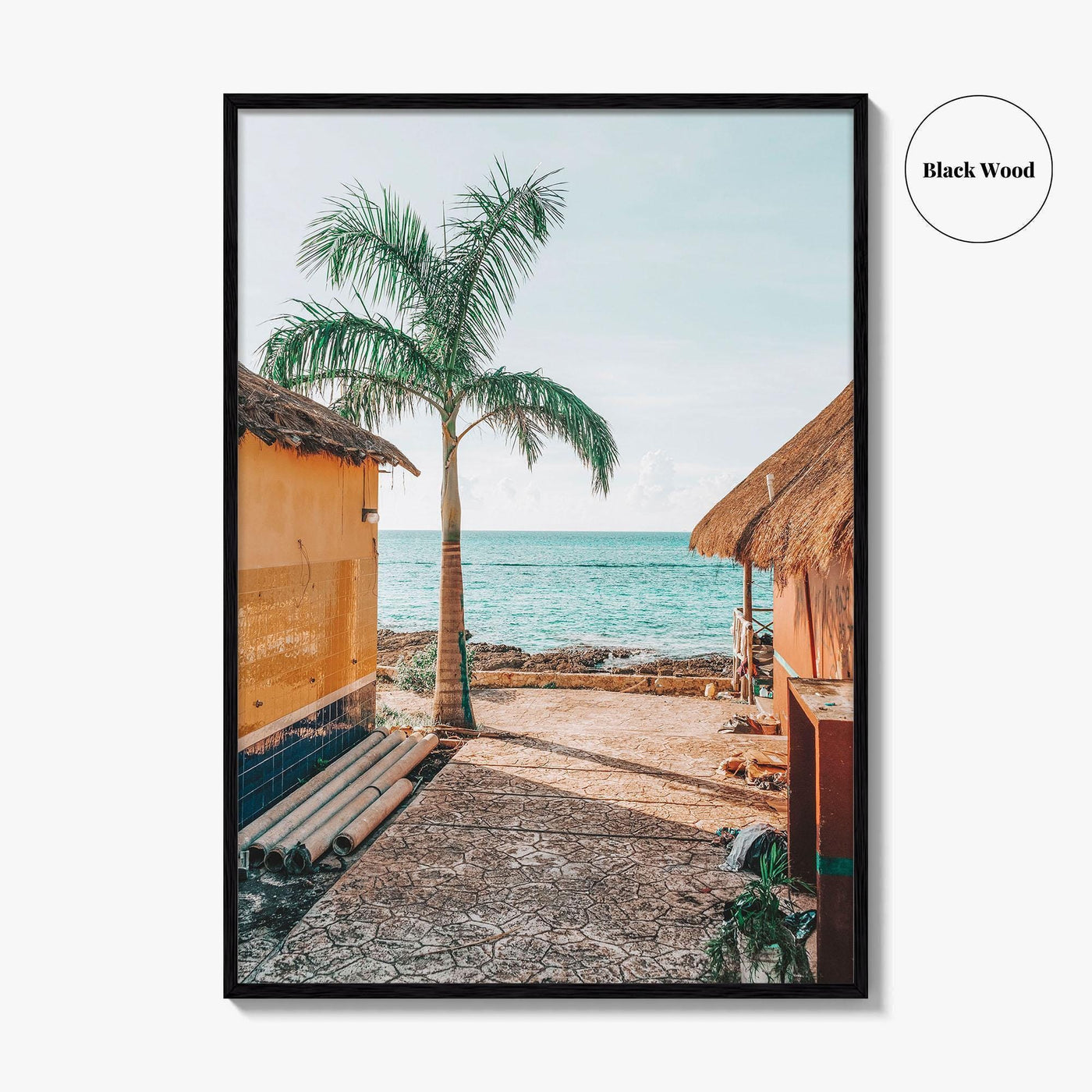 Cozumel Fine Art Photo Print, Mexico, Quintana Roo, Waterfront, Palm Trees, Wall Decor, Poster