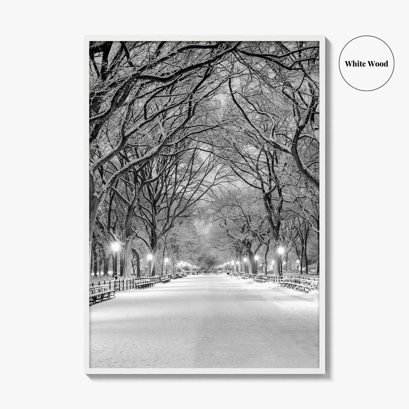 Central Park Black and White Fine Art Photo Print, New York City Poster, NYC