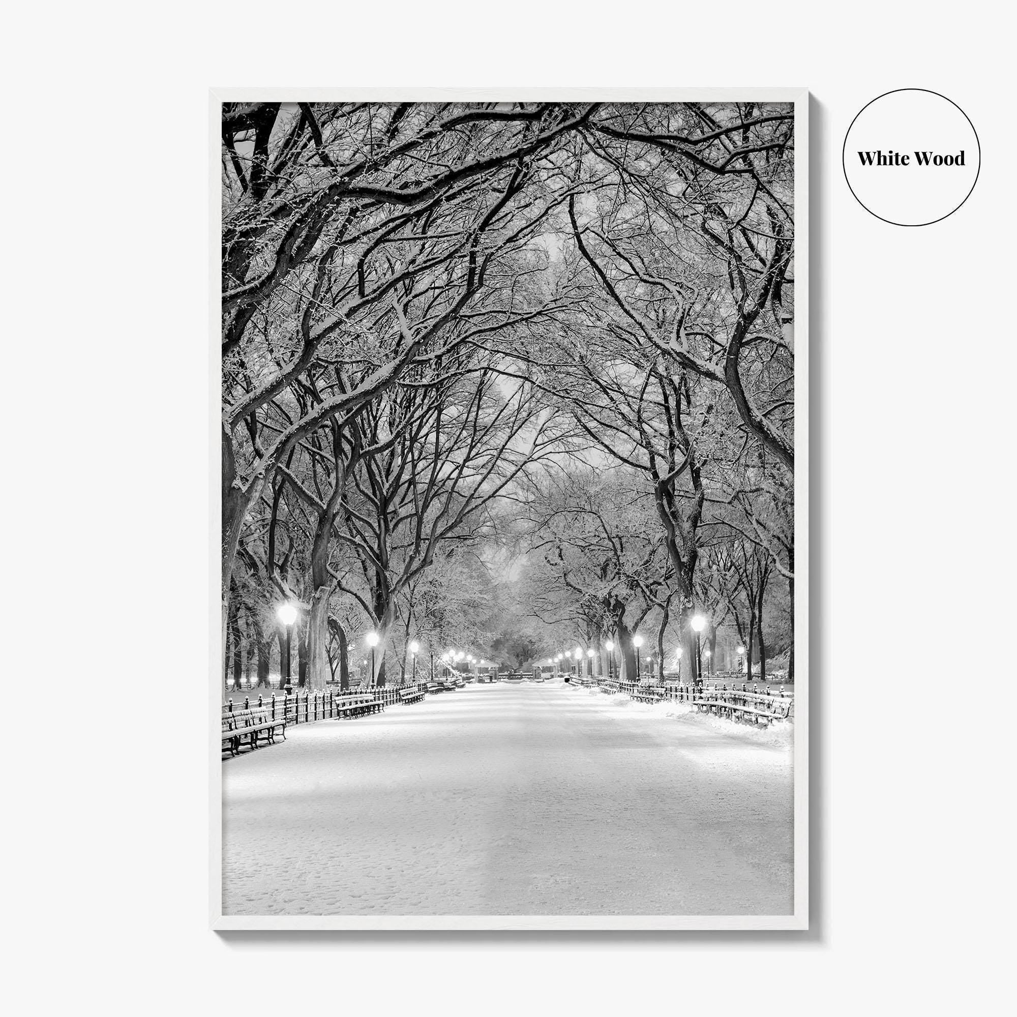 Central Park Black and White Fine Art Photo Print, New York City Poster, NYC
