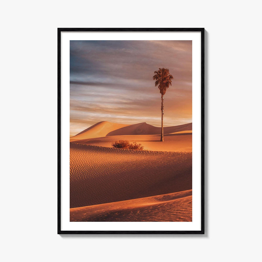 Palm Desert Fine Art Photo Print, Palm Springs California Poster