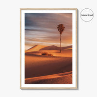 Palm Desert Fine Art Photo Print, Palm Springs California Poster