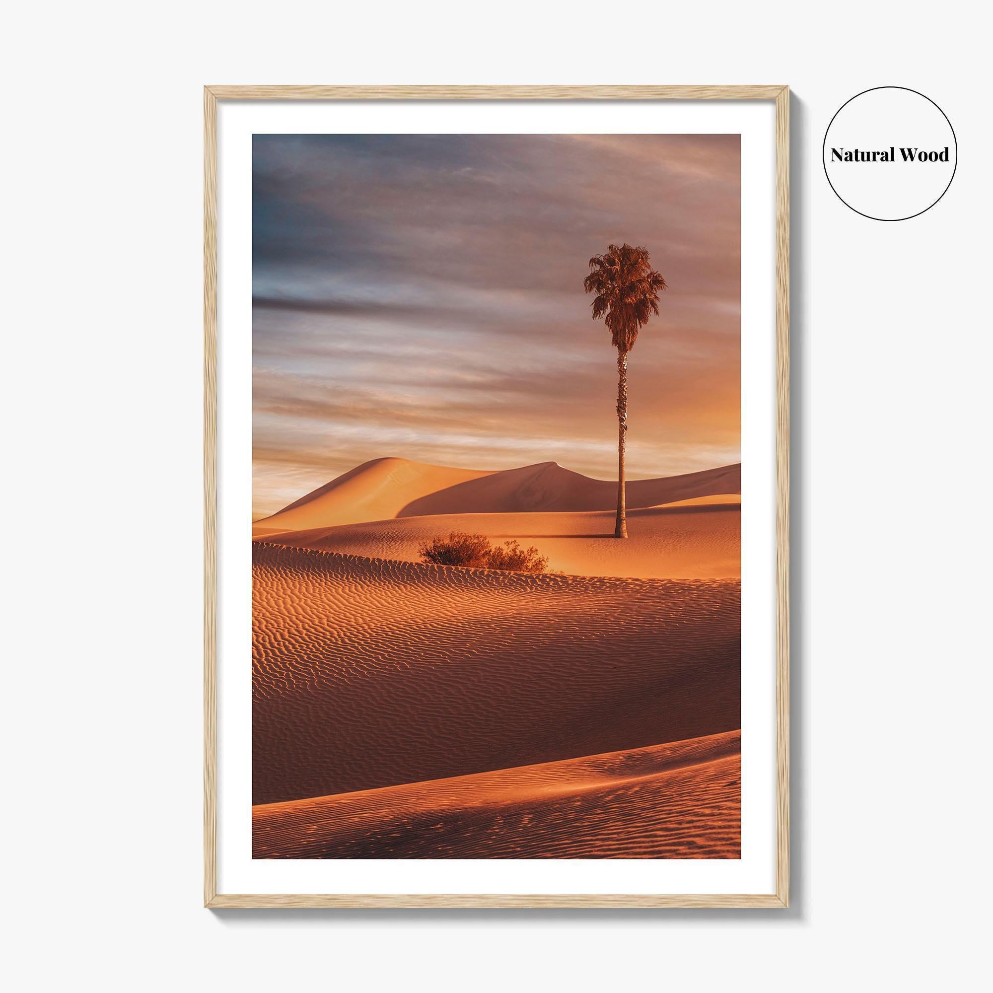 Palm Desert Fine Art Photo Print, Palm Springs California Poster