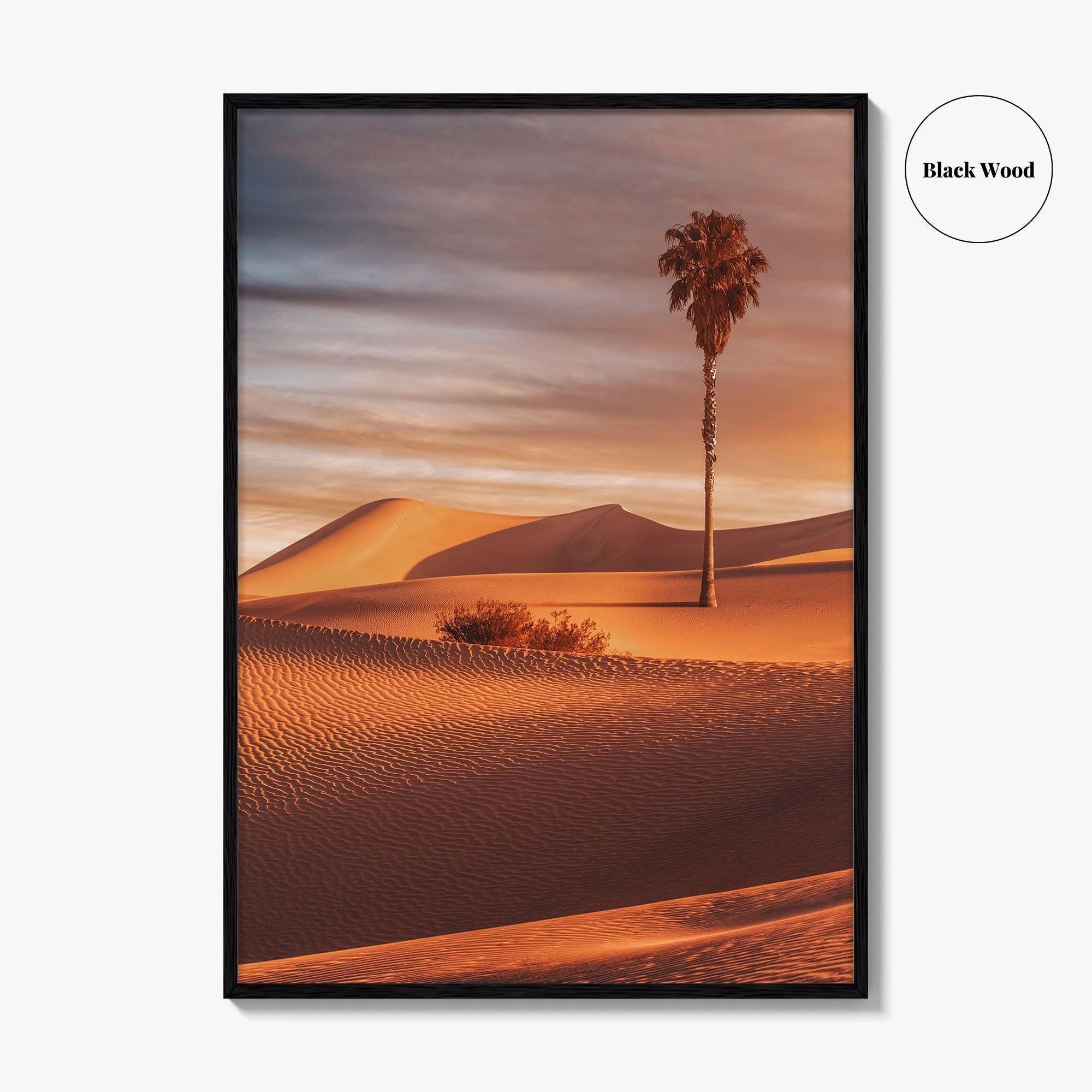 Palm Desert Fine Art Photo Print, Palm Springs California Poster