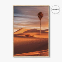Palm Desert Fine Art Photo Print, Palm Springs California Poster