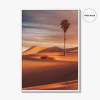 Palm Desert Fine Art Photo Print, Palm Springs California Poster