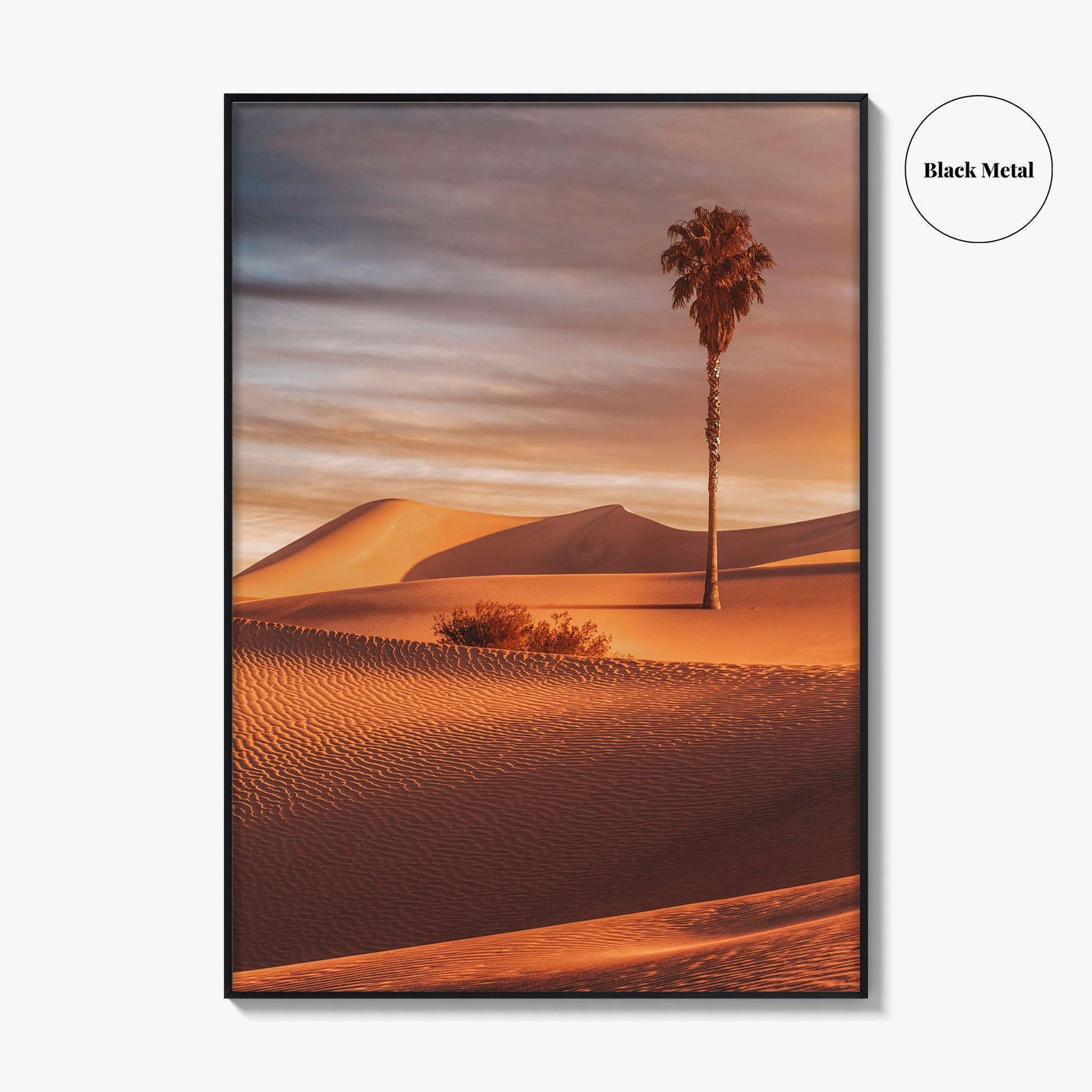 Palm Desert Fine Art Photo Print, Palm Springs California Poster