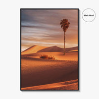 Palm Desert Fine Art Photo Print, Palm Springs California Poster