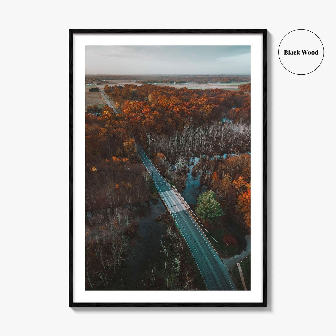 Princeton Fine Art Photo Print, Plainsboro, Cranbury, New Jersey, Aerial, Wall Decor, Poster