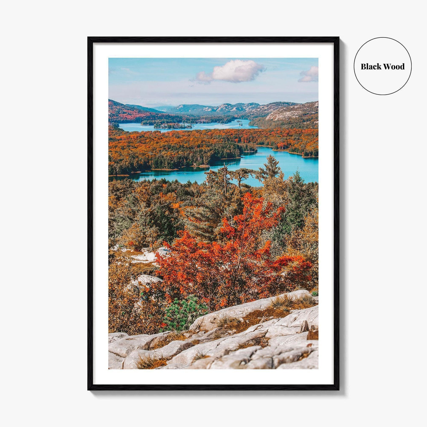 Thousand Islands Fine Art Photo Print, Ontario Canada Aerial Poster, St Lawrence River