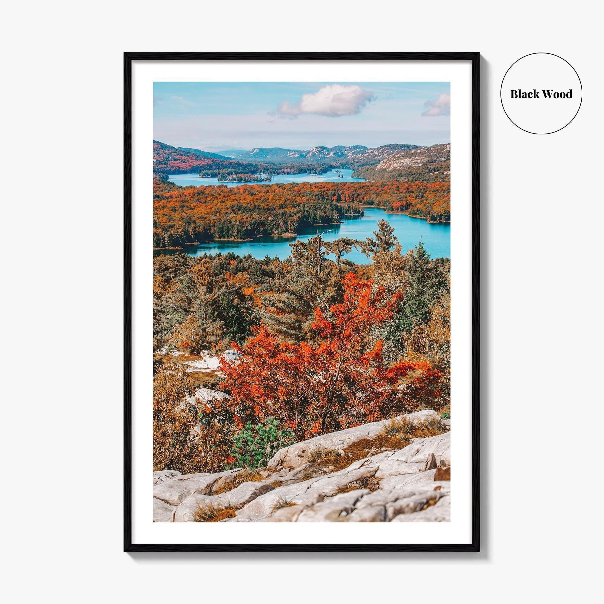 Thousand Islands Fine Art Photo Print, Ontario Canada Aerial Poster, St Lawrence River