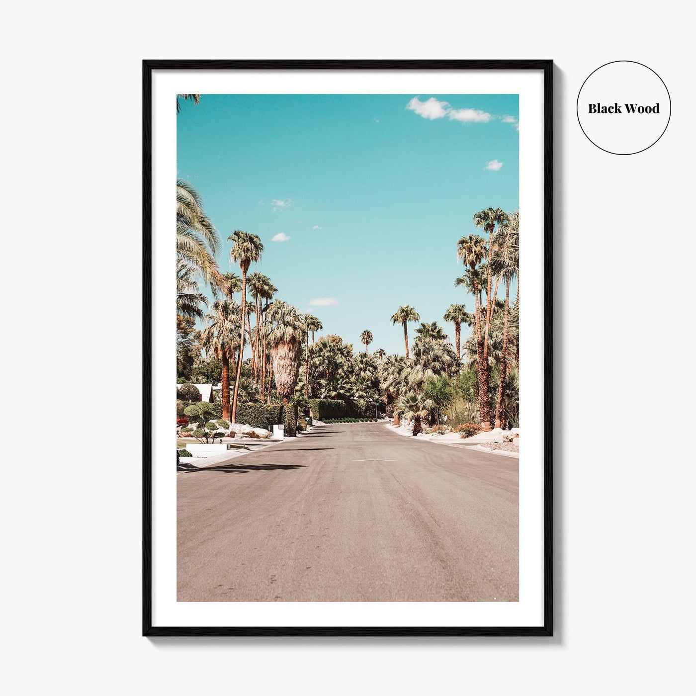 Palm Springs Fine Art Photo Print, Movie Colony, Coachella Valley, California USA Poster