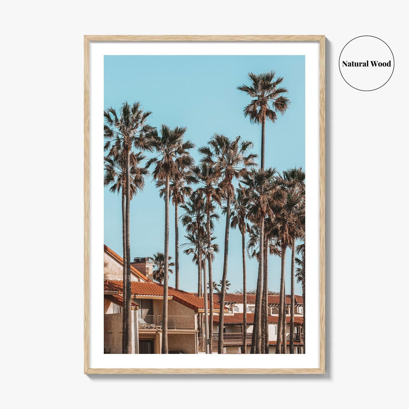 Oxnard Fine Art Photo Print, California Coastal Palm Trees, Ventura County Wall Poster