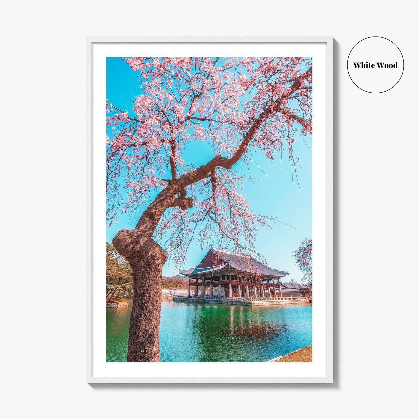 Seoul Fine Art Photo Print, Gyeongbokgung Palace, Cherry Blossom, South Korea Wall Decor Poster