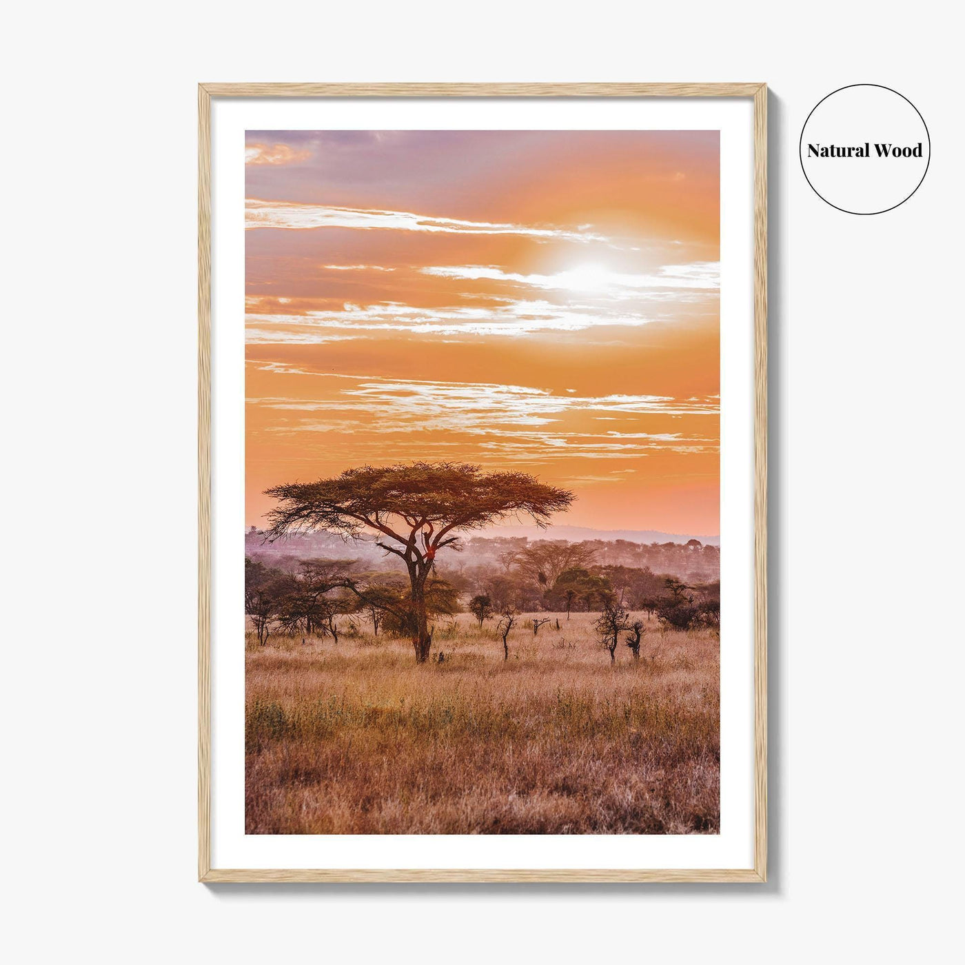 Serengeti Tanzania Fine Art Photo Print, Africa Wall Decor Poster, Safari Savanna, Acacia Trees