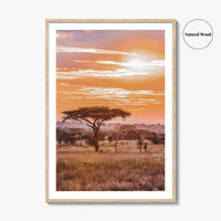 Serengeti Tanzania Fine Art Photo Print, Africa Wall Decor Poster, Safari Savanna, Acacia Trees