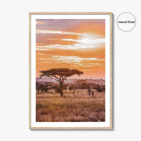 Serengeti Tanzania Fine Art Photo Print, Africa Wall Decor Poster, Safari Savanna, Acacia Trees