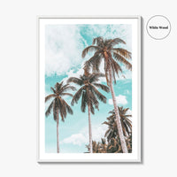 Palm Springs Fine Art Photo Print, California Poster, Coachella Valley, USA