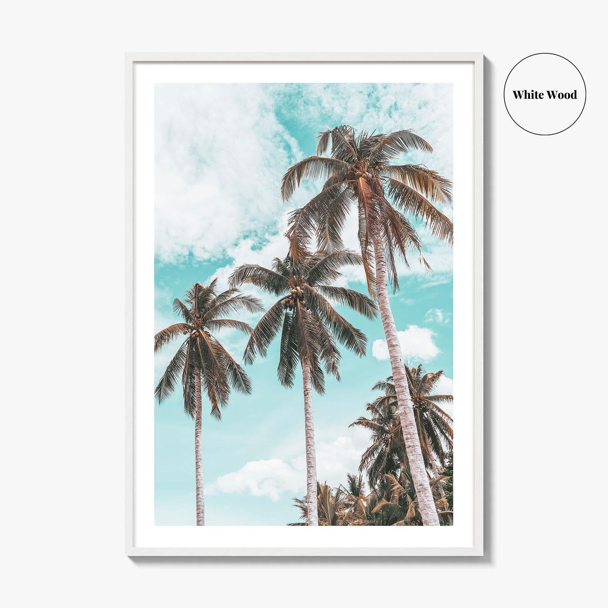 Palm Springs Fine Art Photo Print, California Poster, Coachella Valley, USA