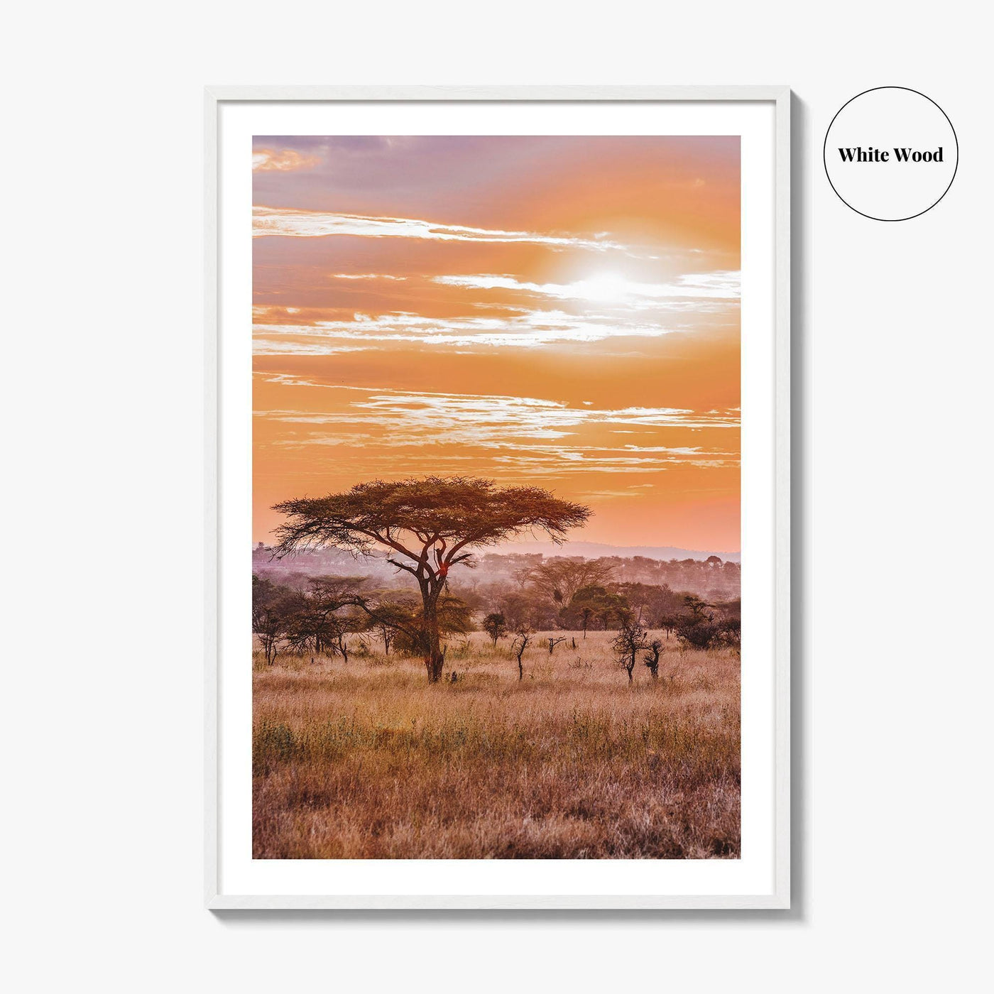 Serengeti Tanzania Fine Art Photo Print, Africa Wall Decor Poster, Safari Savanna, Acacia Trees