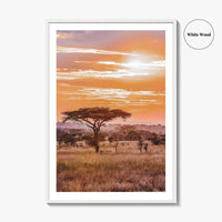 Serengeti Tanzania Fine Art Photo Print, Africa Wall Decor Poster, Safari Savanna, Acacia Trees