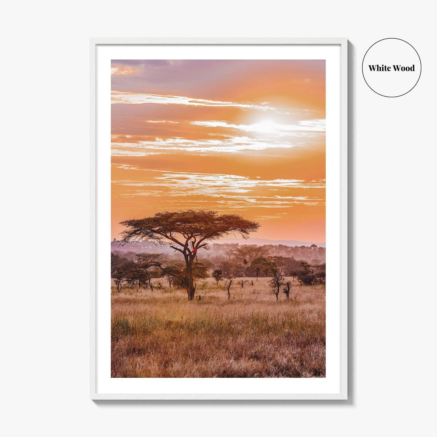 Serengeti Tanzania Fine Art Photo Print, Africa Wall Decor Poster, Safari Savanna, Acacia Trees
