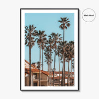 Oxnard Fine Art Photo Print, California Coastal Palm Trees, Ventura County Wall Poster