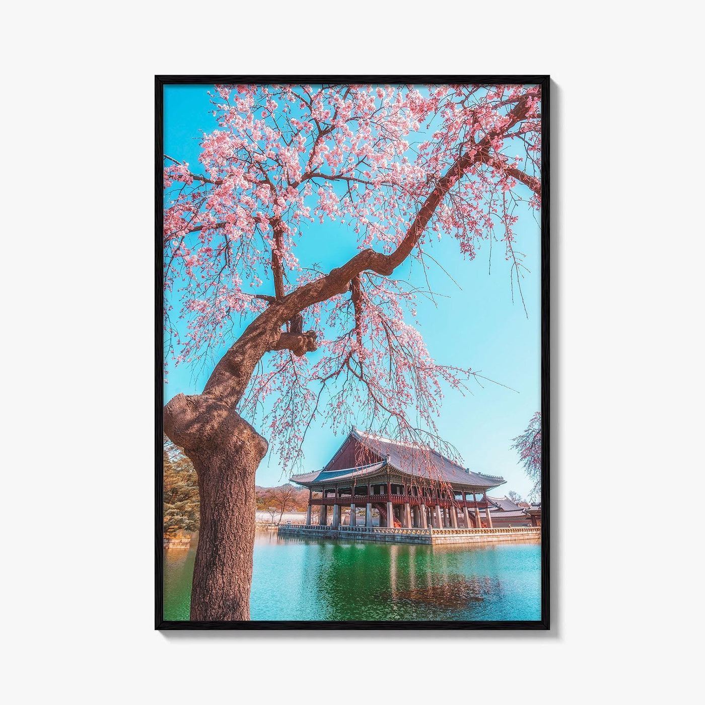Seoul Fine Art Photo Print, Gyeongbokgung Palace, Cherry Blossom, South Korea Wall Decor Poster