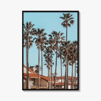 Oxnard Fine Art Photo Print, California Coastal Palm Trees, Ventura County Wall Poster
