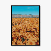 San Luis Obispo Fine Art Photo Print, Carrizo Plain National Monument, California USA Poster