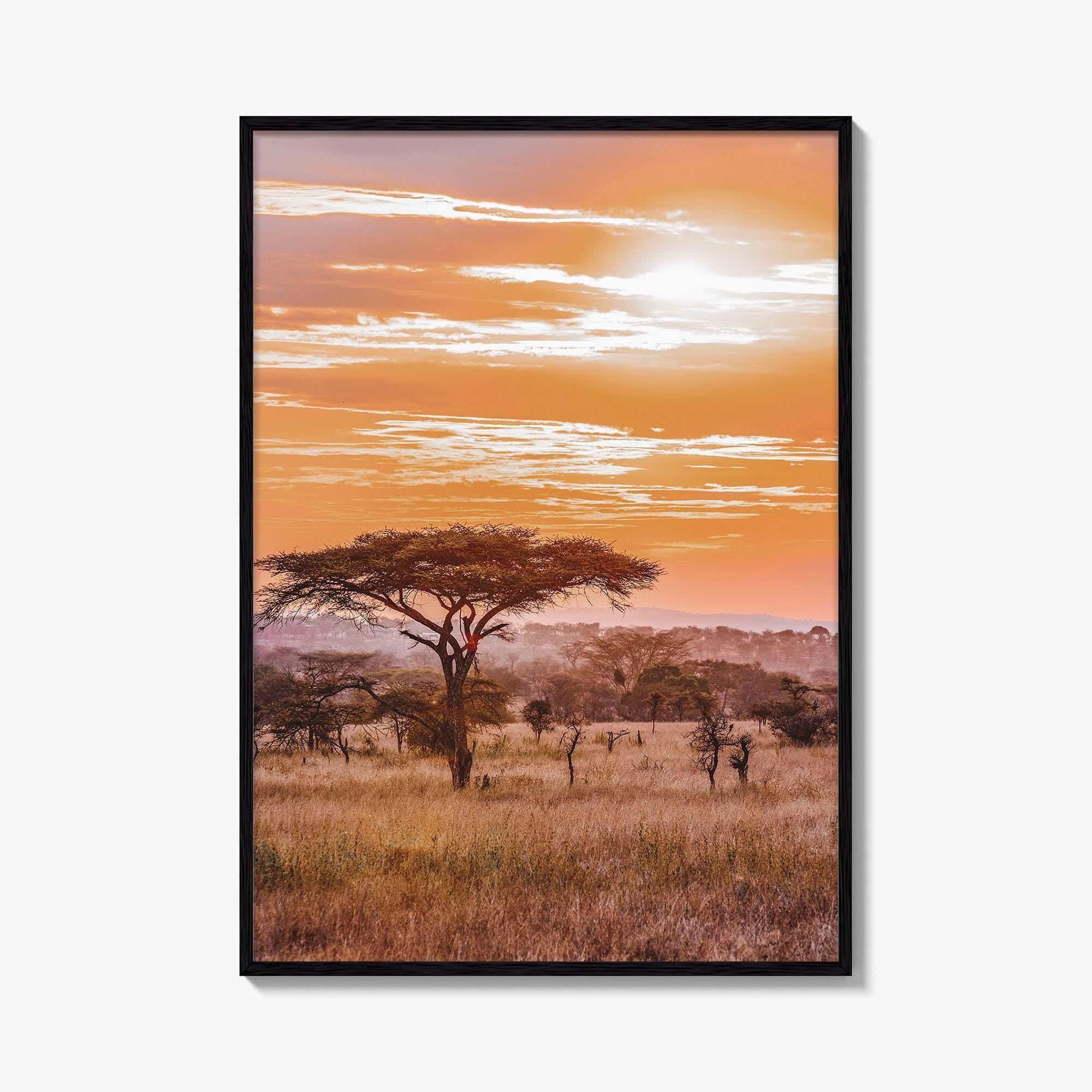 Serengeti Tanzania Fine Art Photo Print, Africa Wall Decor Poster, Safari Savanna, Acacia Trees