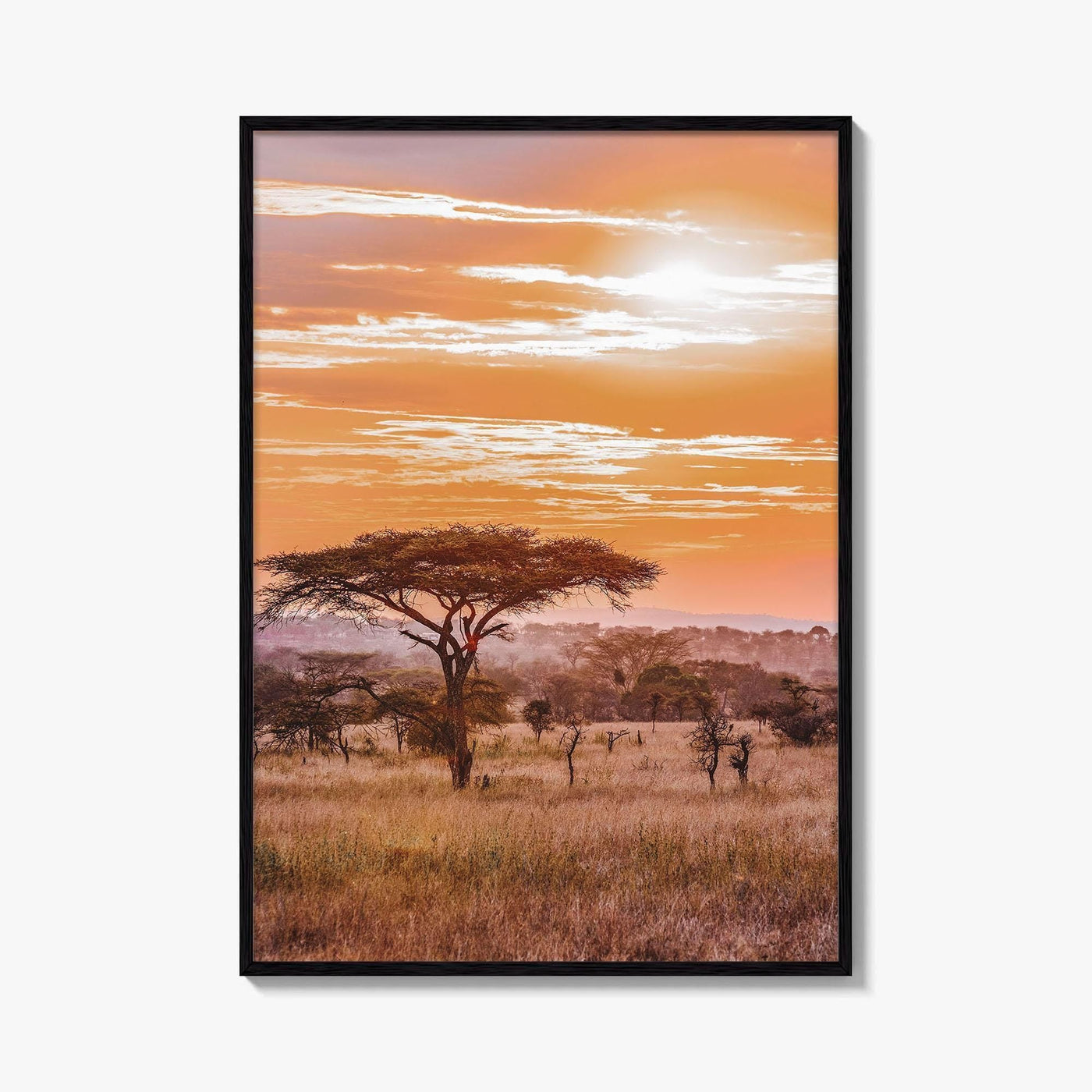 Serengeti Tanzania Fine Art Photo Print, Africa Wall Decor Poster, Safari Savanna, Acacia Trees