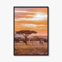 Serengeti Tanzania Fine Art Photo Print, Africa Wall Decor Poster, Safari Savanna, Acacia Trees