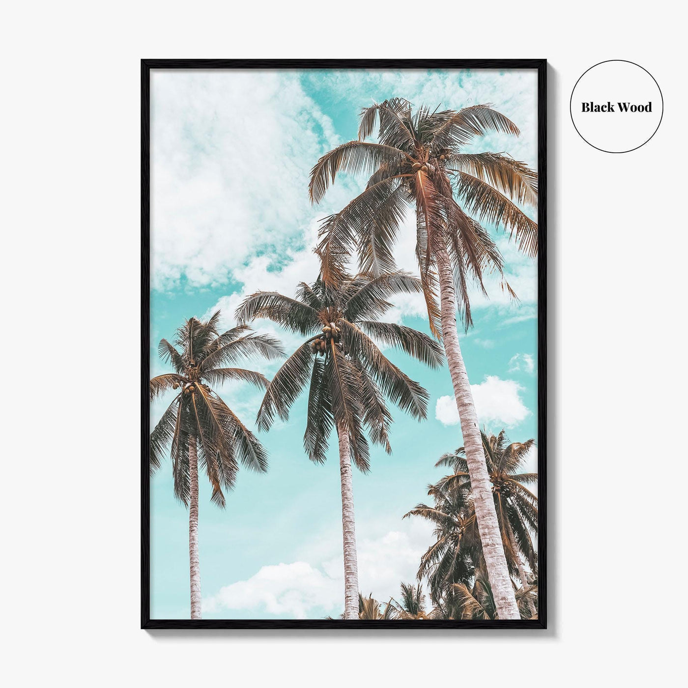 Palm Springs Fine Art Photo Print, California Poster, Coachella Valley, USA
