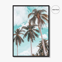 Palm Springs Fine Art Photo Print, California Poster, Coachella Valley, USA