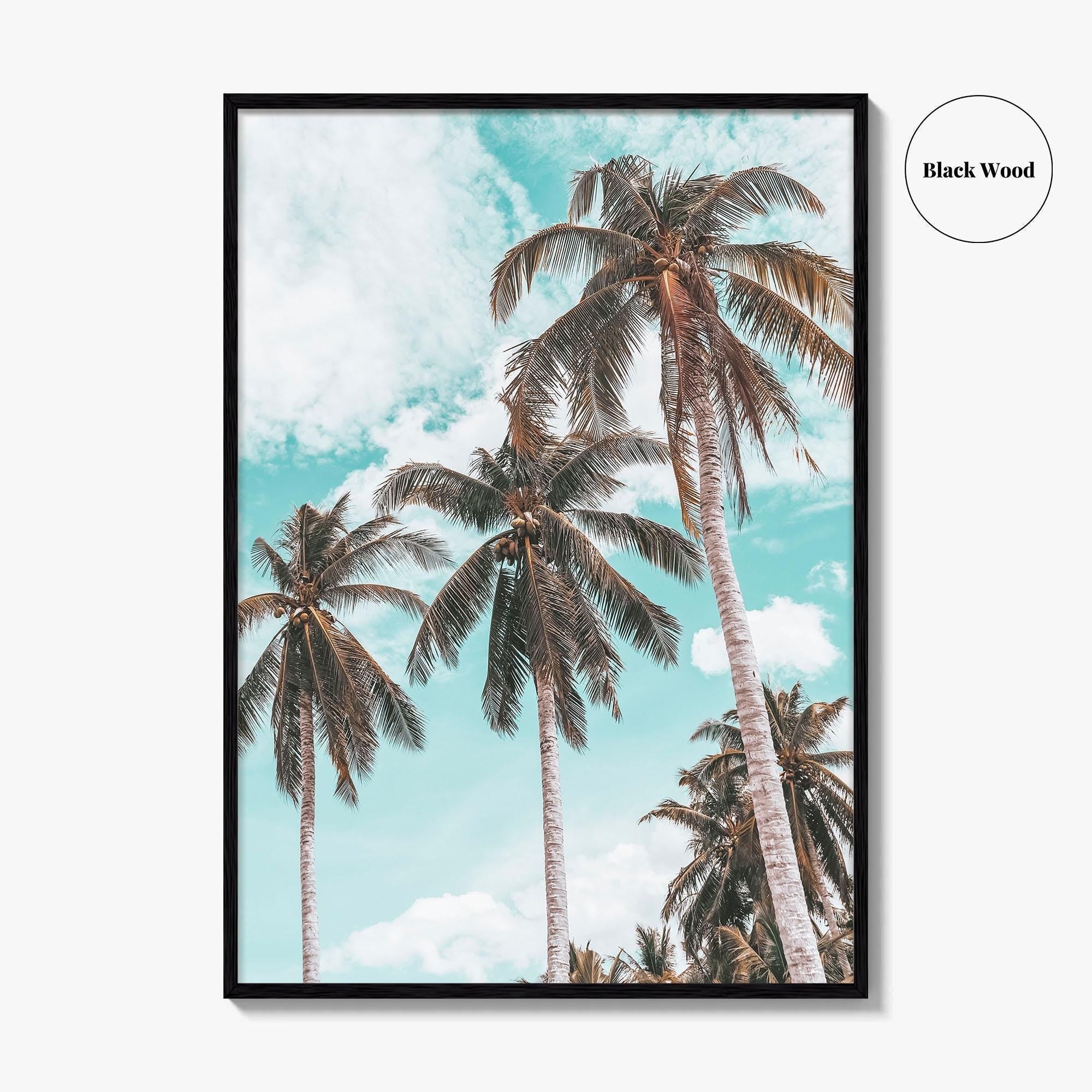 Palm Springs Fine Art Photo Print, California Poster, Coachella Valley, USA