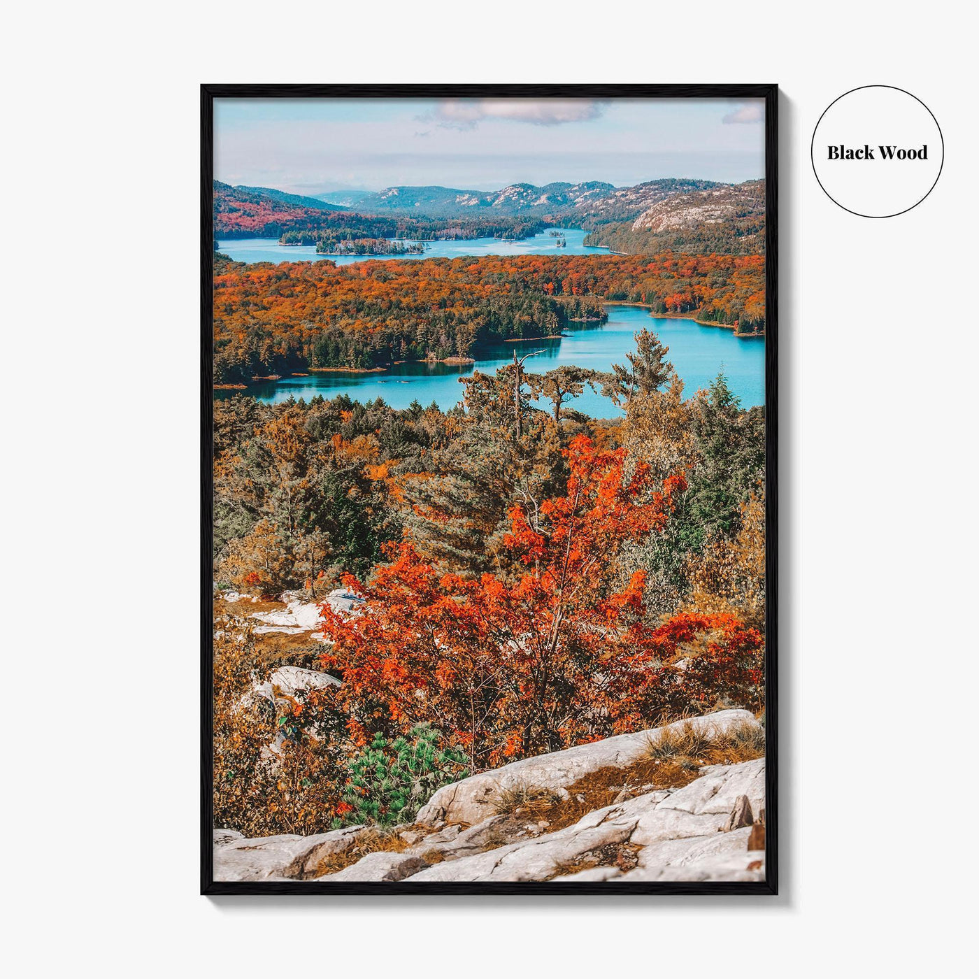 Thousand Islands Fine Art Photo Print, Ontario Canada Aerial Poster, St Lawrence River