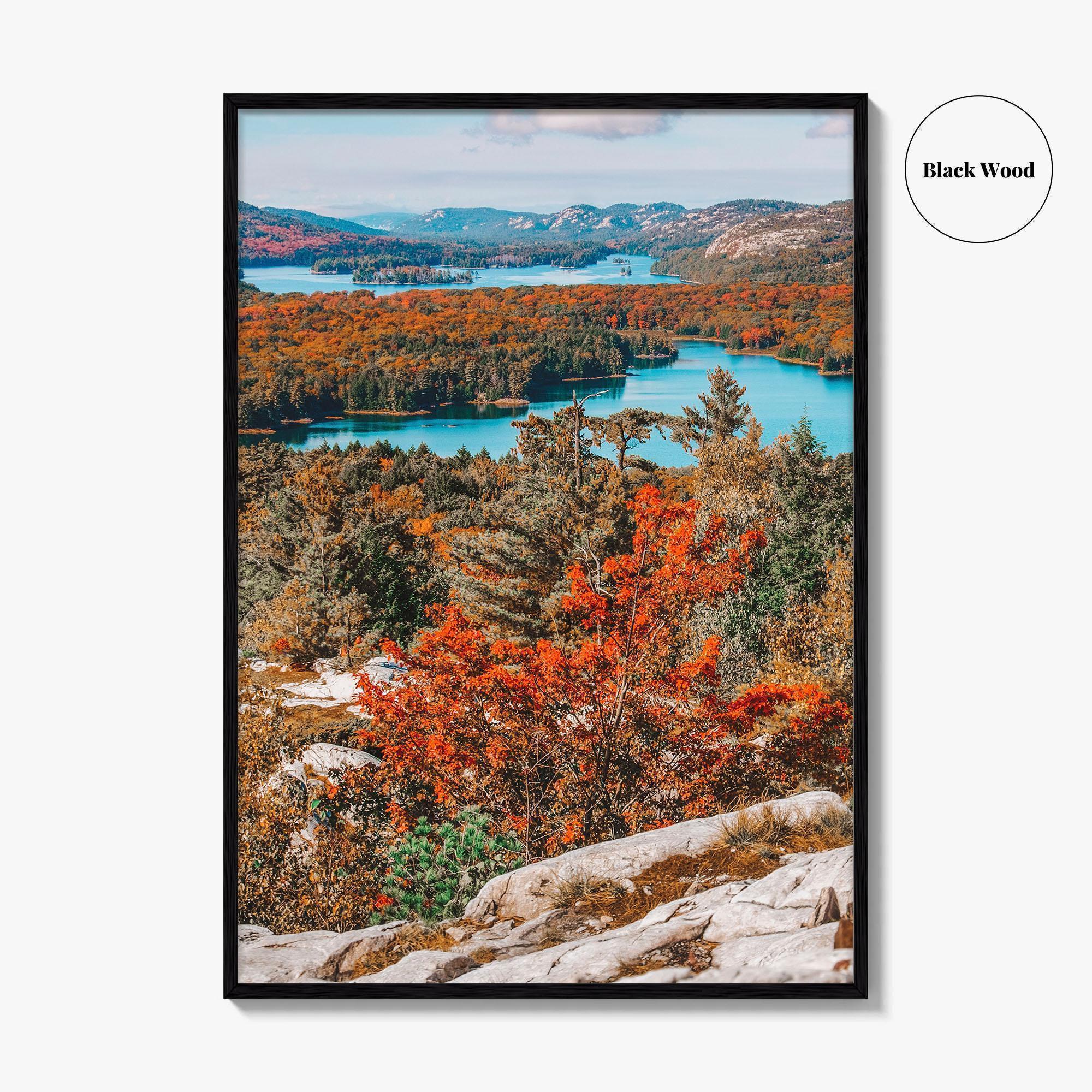 Thousand Islands Fine Art Photo Print, Ontario Canada Aerial Poster, St Lawrence River