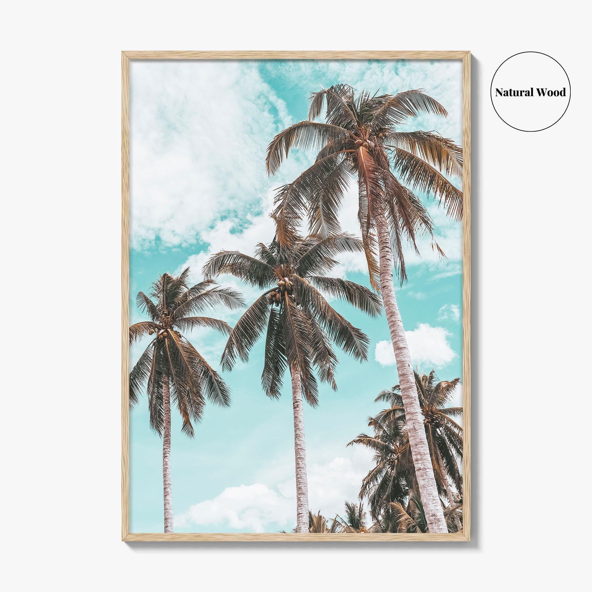 Palm Springs Fine Art Photo Print, California Poster, Coachella Valley, USA