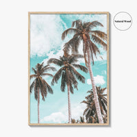 Palm Springs Fine Art Photo Print, California Poster, Coachella Valley, USA