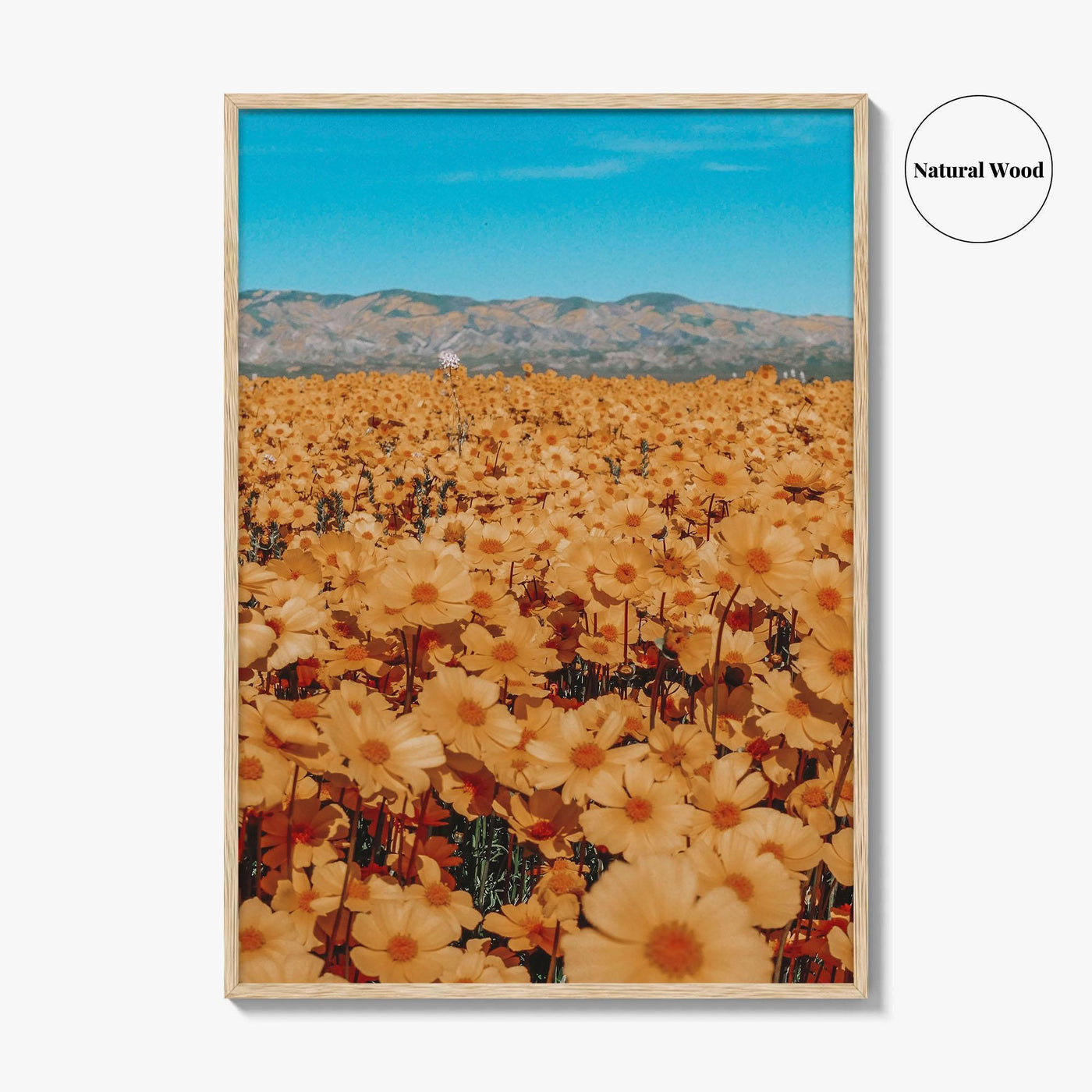 San Luis Obispo Fine Art Photo Print, Carrizo Plain National Monument, California USA Poster